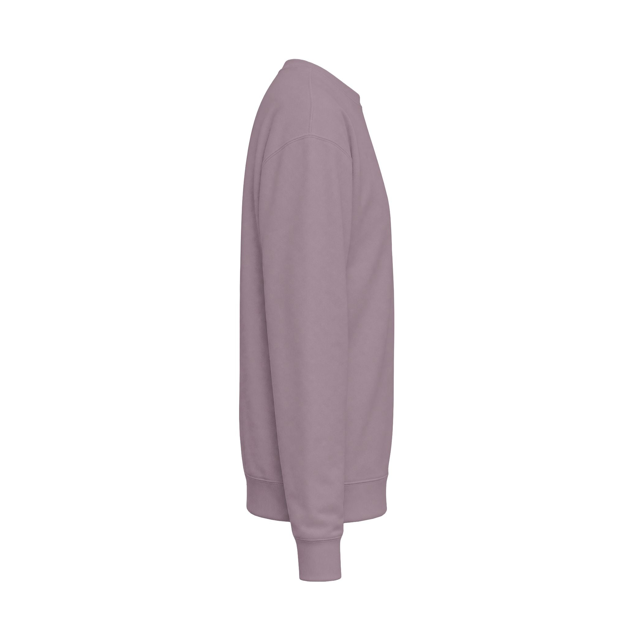 Unisex Midweight Softstyle Fleece Crewneck Sweatshirt